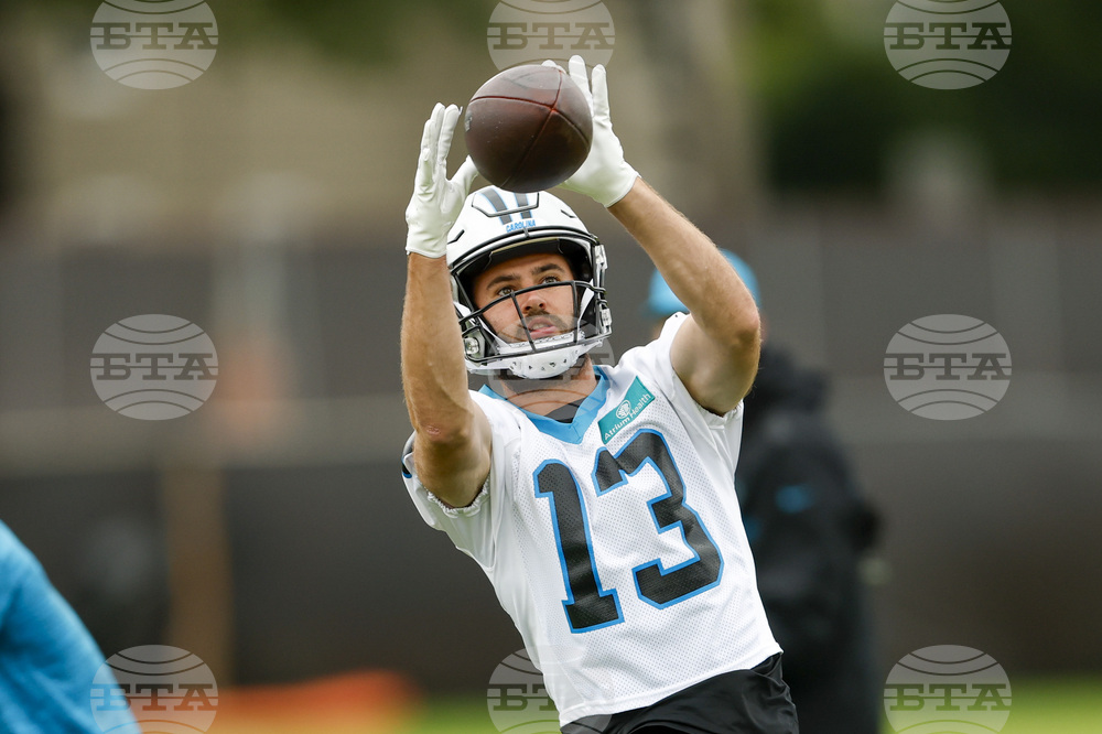 Panthers Football