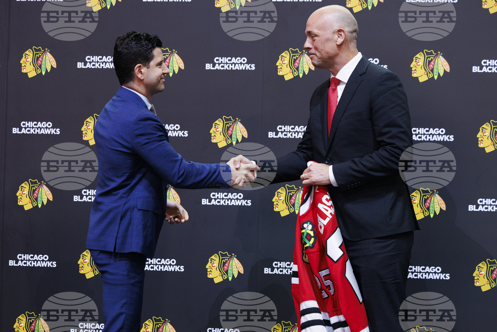 Blackhawks Blashill Hockey
