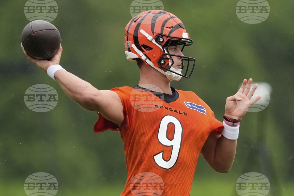 Bengals Football