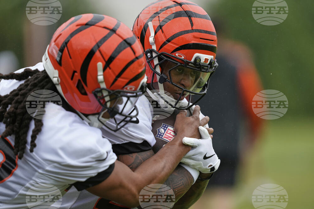 Bengals Football