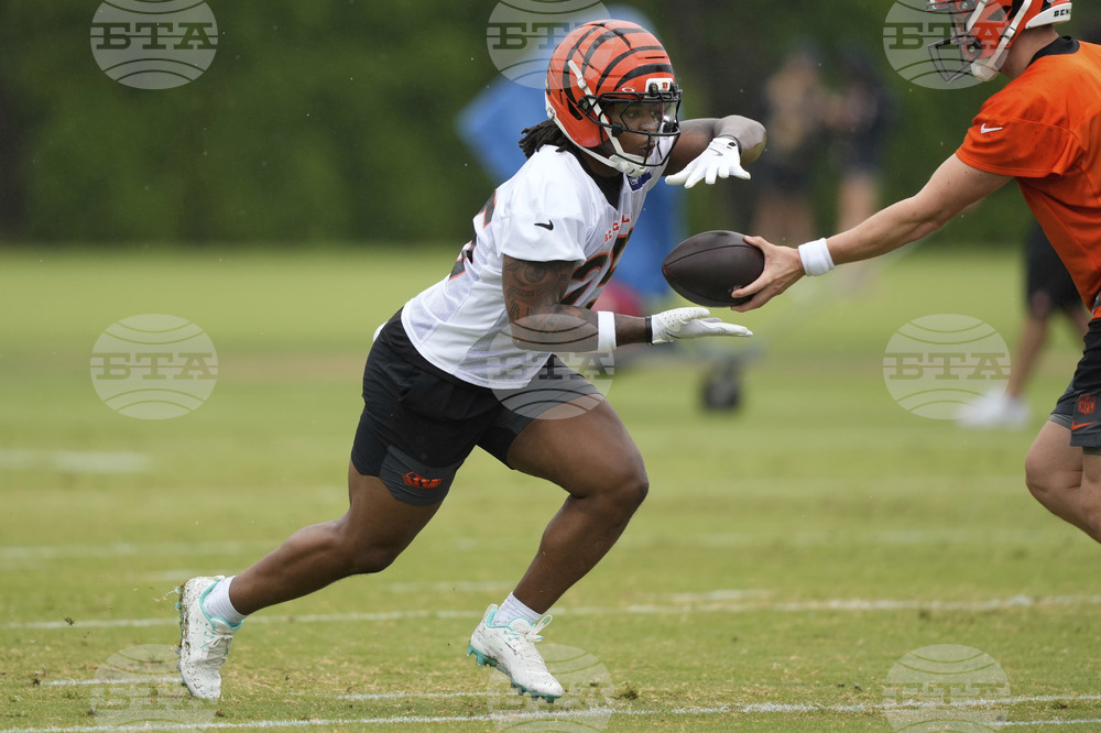 Bengals Football
