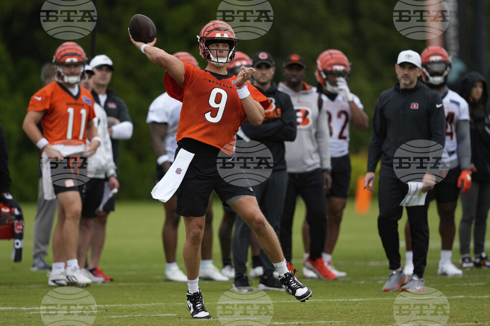 Bengals Football