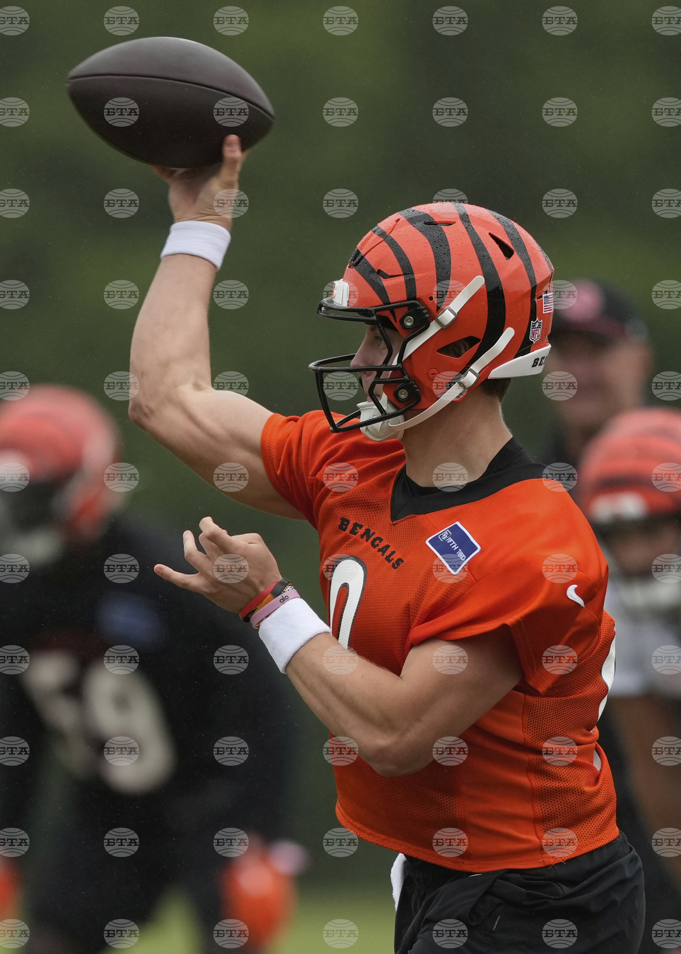 Bengals Football