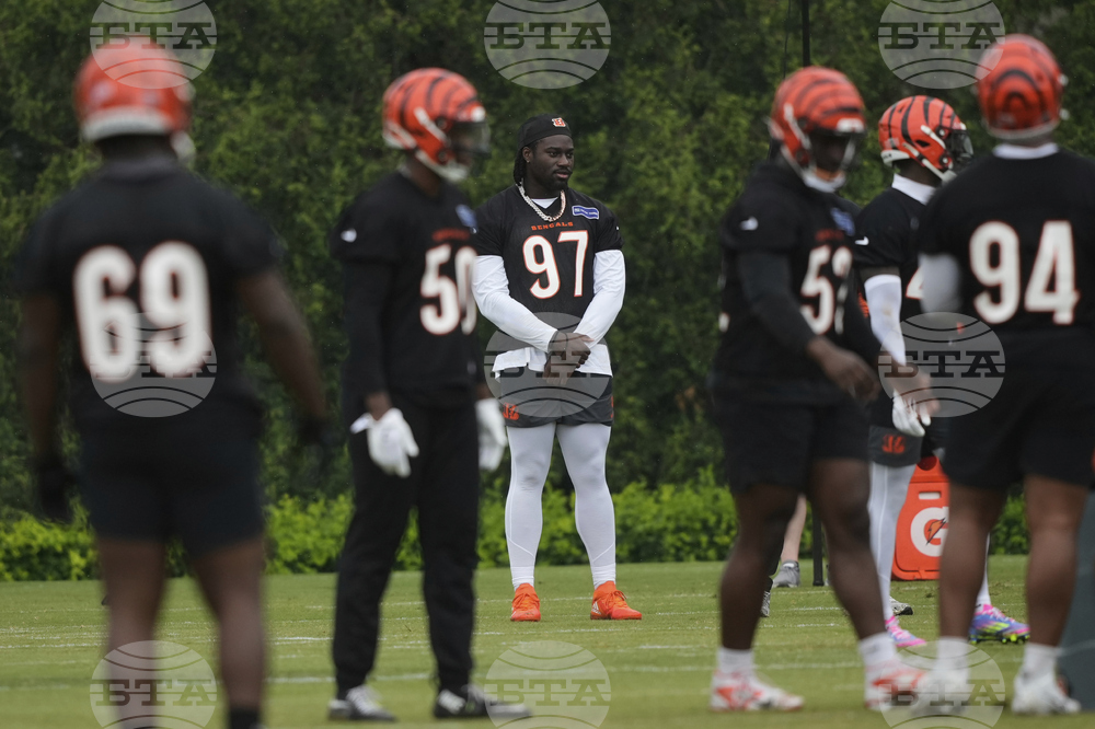 Bengals Football