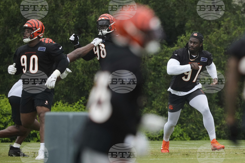 Bengals Football