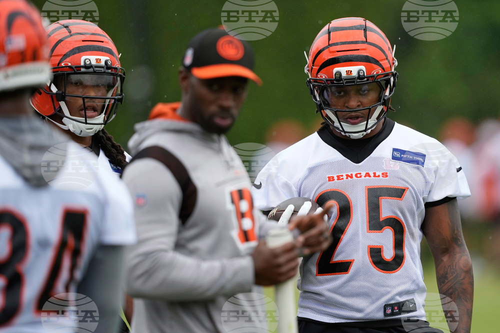 Bengals Football