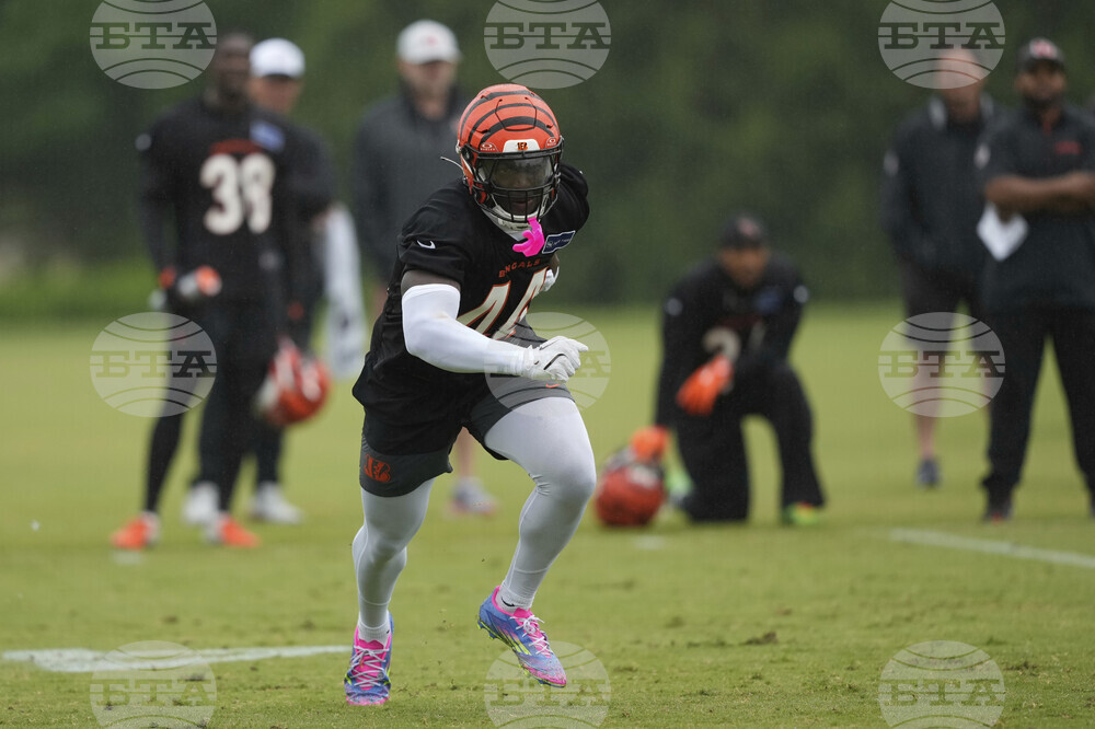 Bengals Football