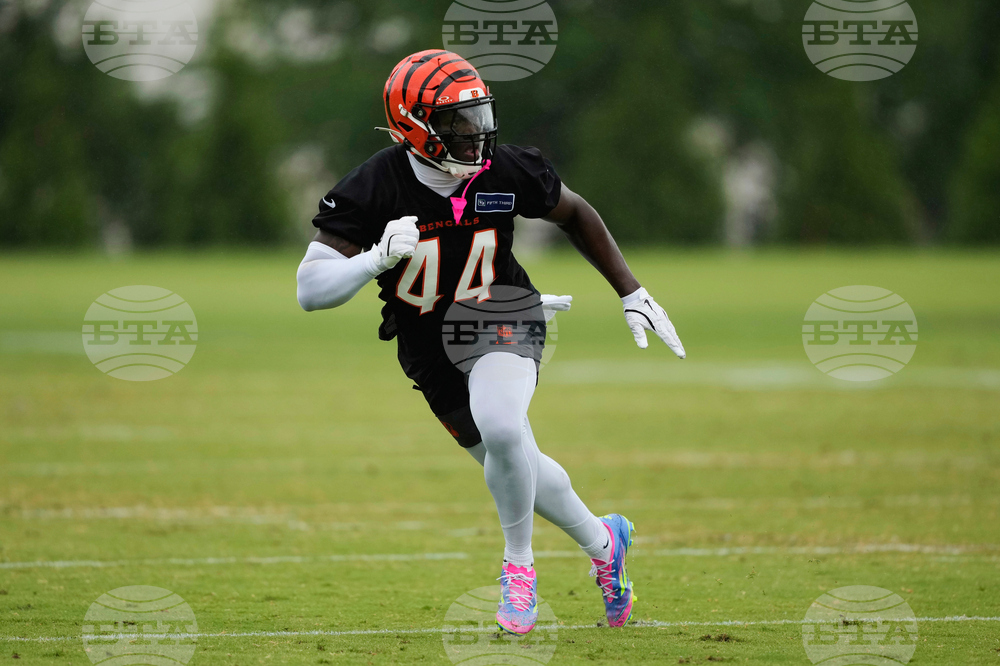 Bengals Football