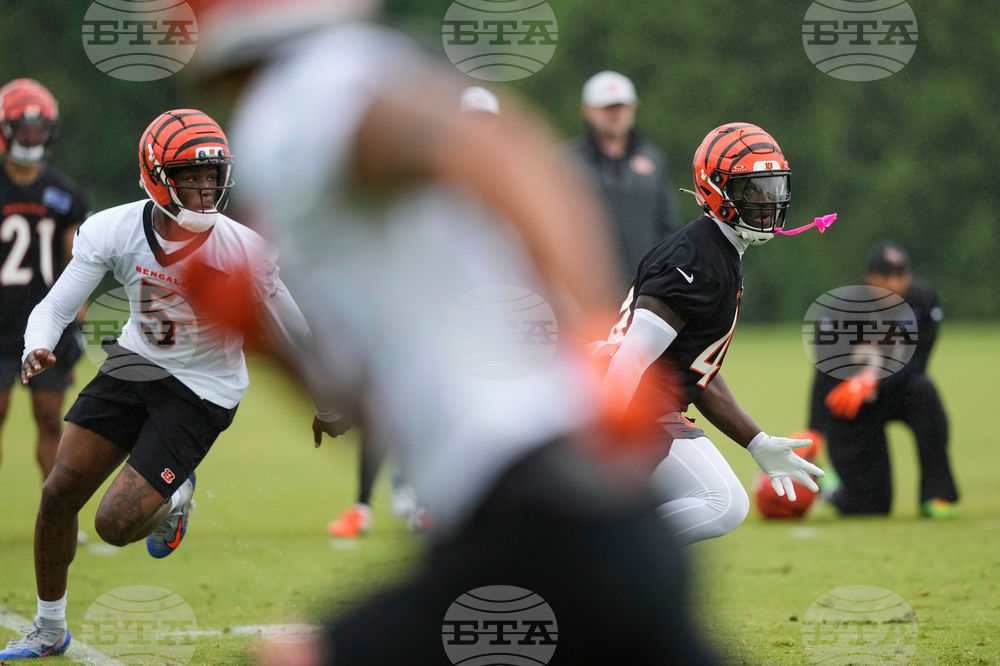 Bengals Football