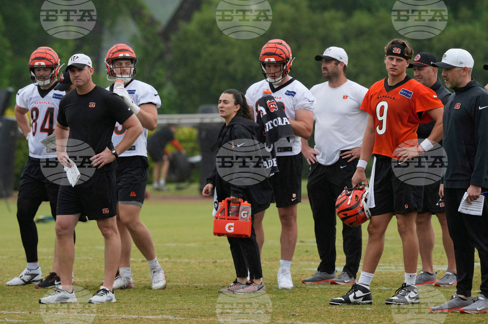Bengals Football