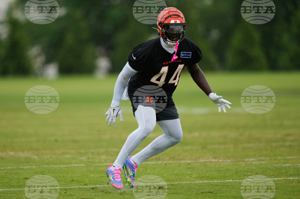 Bengals Football