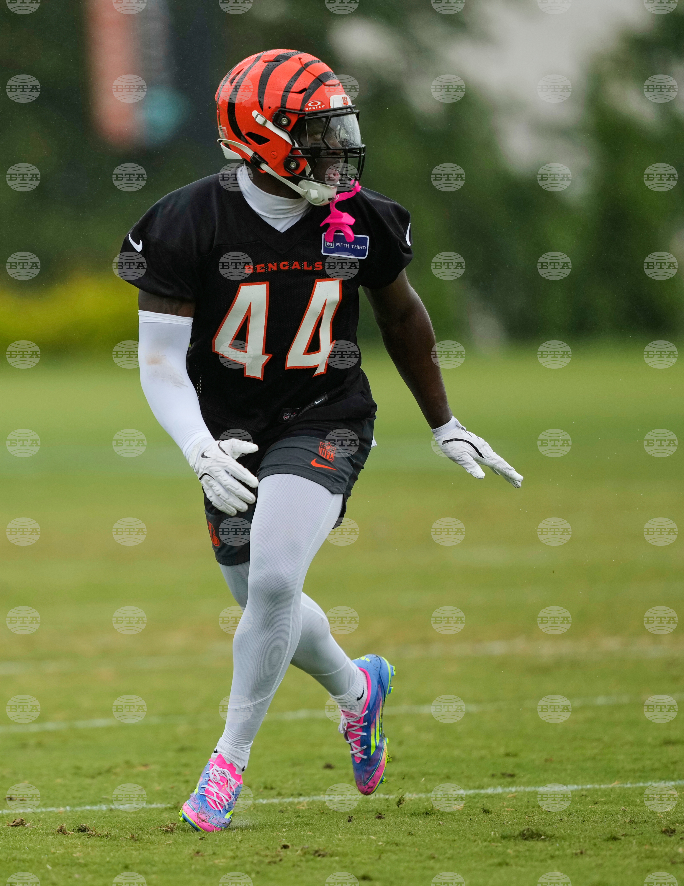 Bengals Football