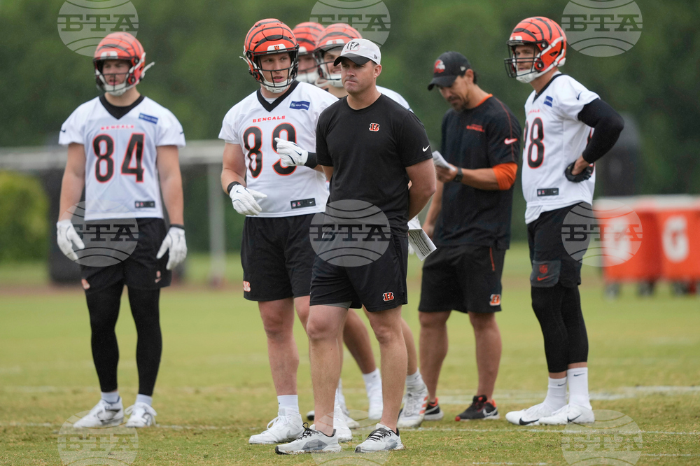 Bengals Football