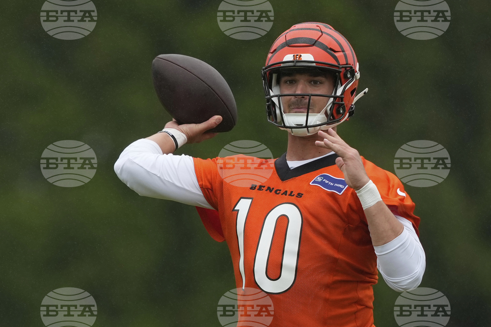 Bengals Football