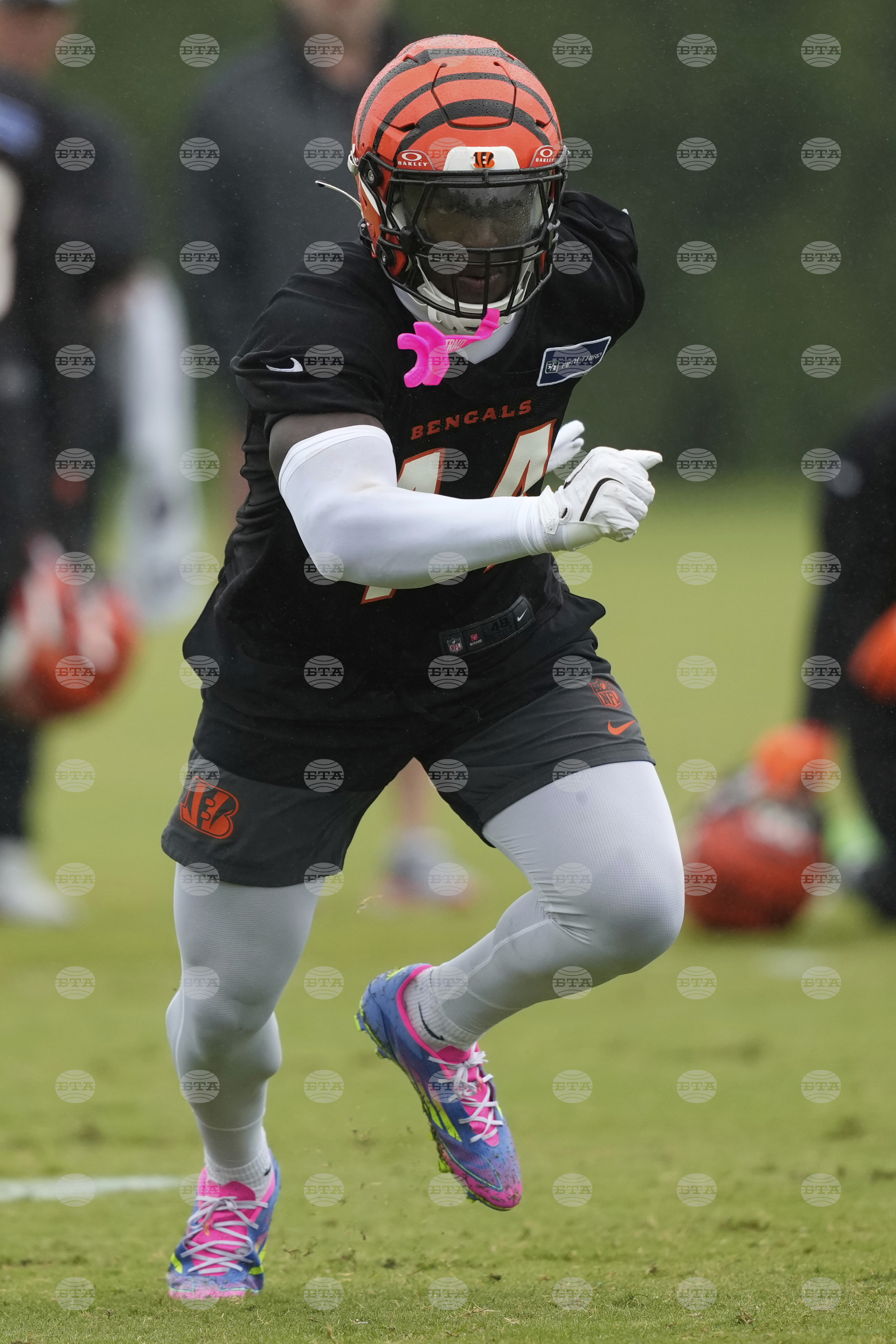 Bengals Football