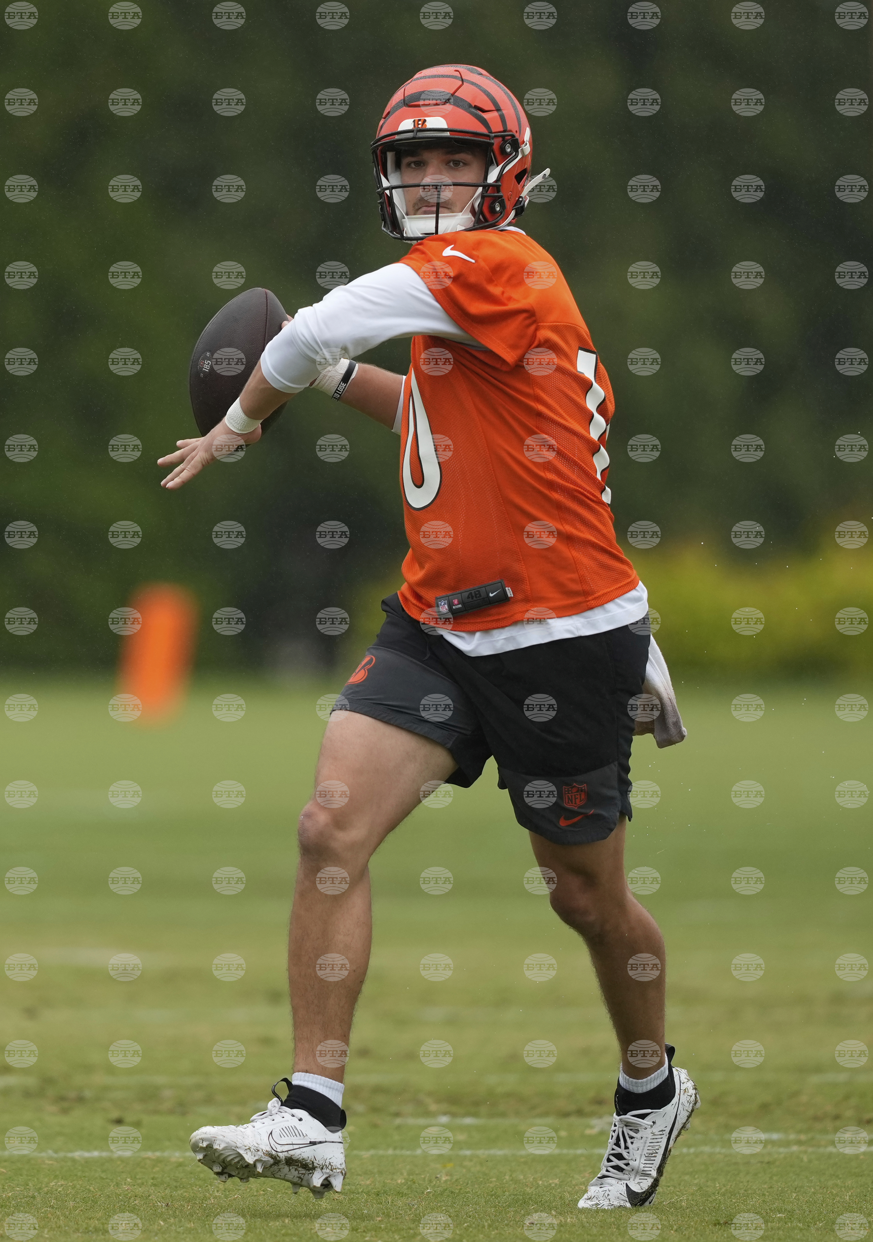 Bengals Football