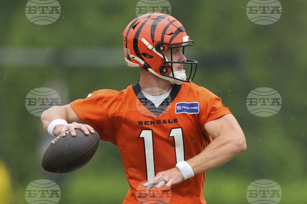 Bengals Football