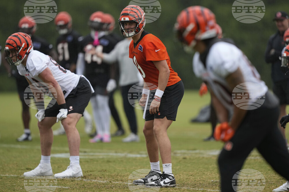Bengals Football