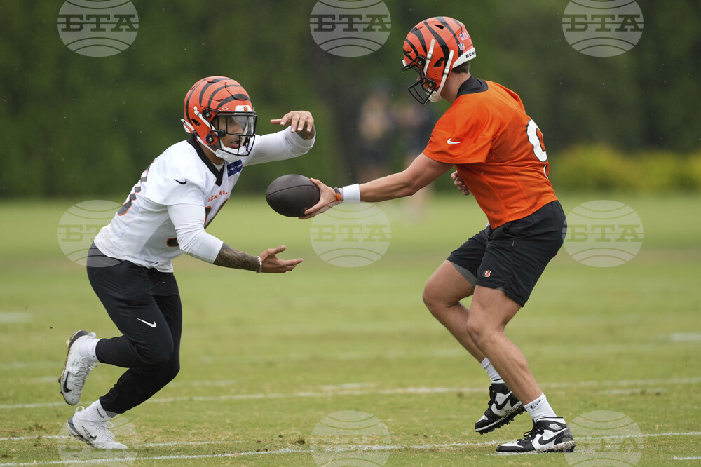 Bengals Football