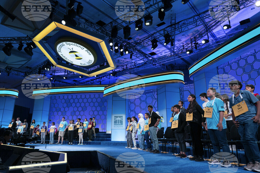 Spelling Bee
