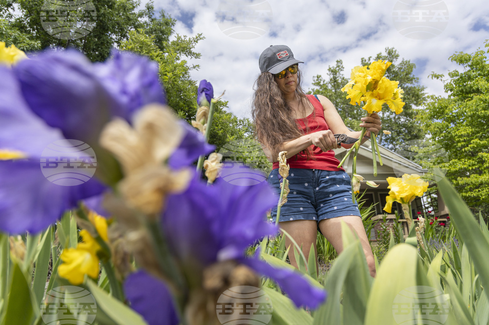 Idaho Memorial Day