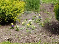 Снимка: Община Шумен