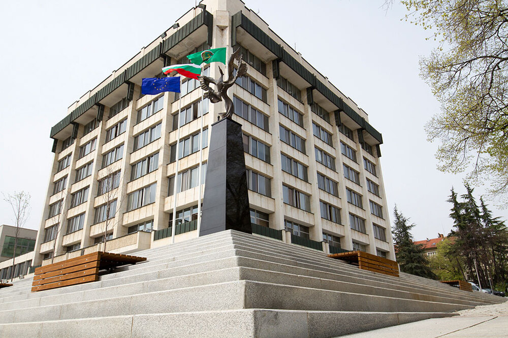 Община Стара Загора: 16 нарушители на общински наредби, сред тях водач на тротинетка и мъж, отрязал дърво с моторен трион