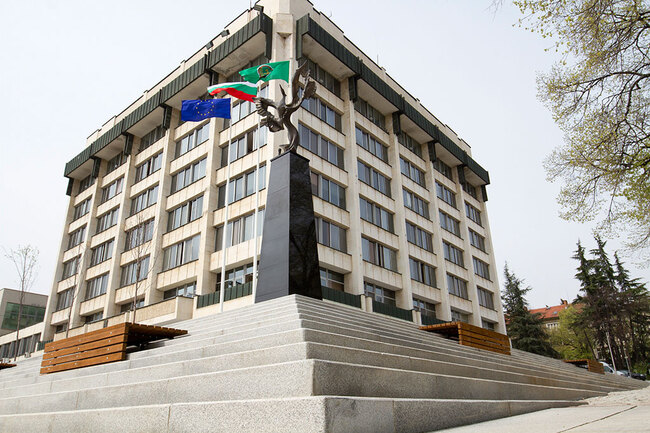 Община Стара Загора: 16 нарушители на общински наредби, сред тях водач на тротинетка и мъж, отрязал дърво с моторен трион