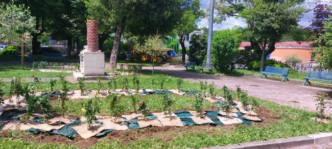 Засаждане на 120 рози се състоя в Колеферо под патронажа на кметство Колеферо, Италия