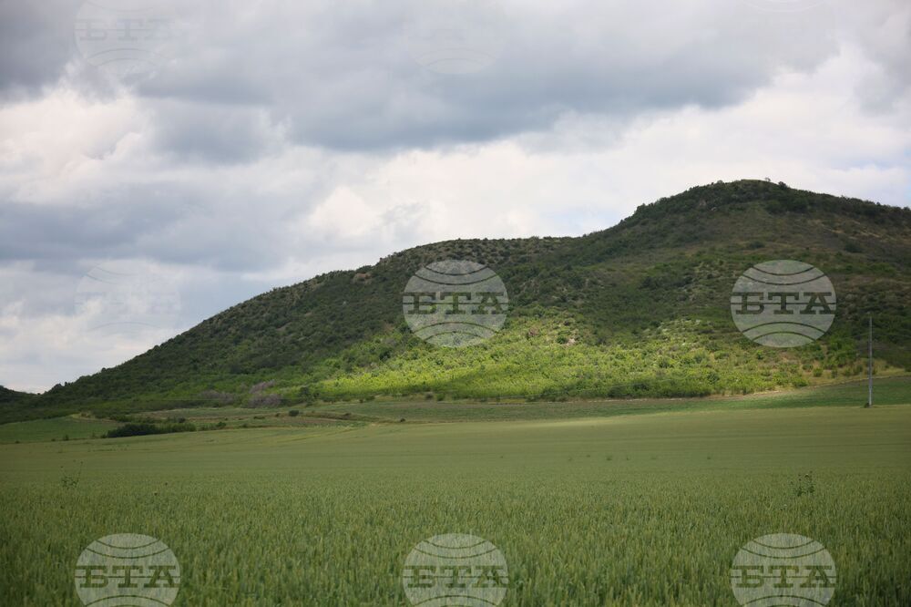 Български земеделски стопани получиха 8,7 млн. лева по екосхемата за поддържане и подобряване на биологичното разнообразие и екологичната инфраструктура