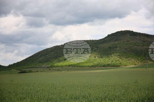 Български земеделски стопани получиха 8,7 млн. лева по екосхемата за поддържане и подобряване на биологичното разнообразие и екологичната инфраструктура