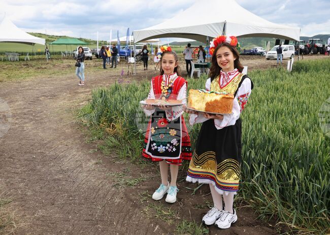 Айтос - "Ден на полето 2025" - фестивал