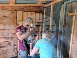 Снимка: Българско дружество за защита на птиците