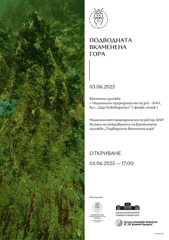 Националният природонаучен музей при БАН представя изложбата „Подводната вкаменена гора“