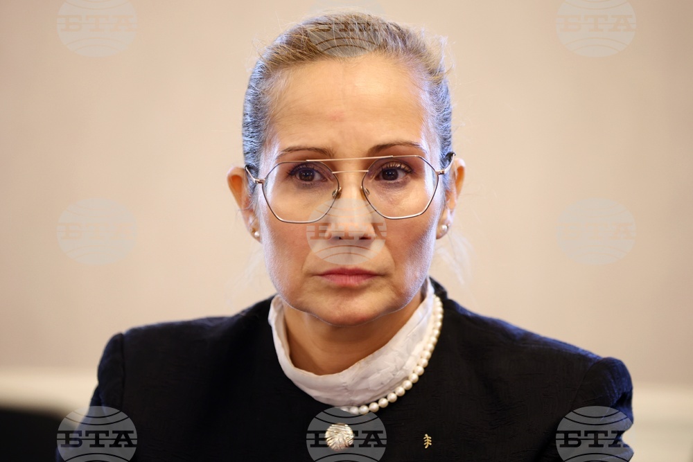 Около 450 000 души се осигуряват на минимална работна заплата, каза зам.-министър Гергана Алексова