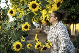 Climate Agritopia Agricultural Community