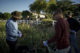Climate Agritopia Agricultural Community