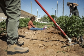 Climate Agritopia Agricultural Community