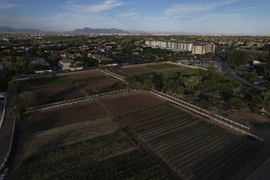 Climate Agritopia Agricultural Community