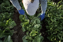 Climate Agritopia Agricultural Community