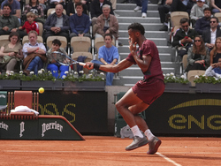 French Open Tennis