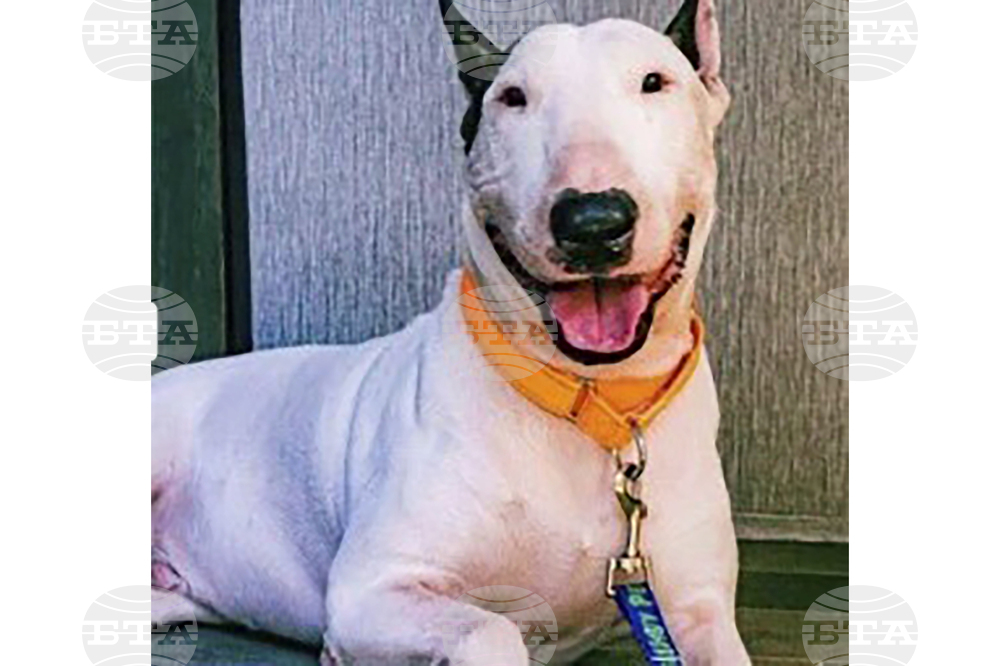 Animal Cruelty-Florida