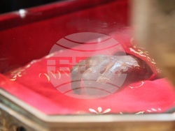 Сърбия - Свети Сава - мощи