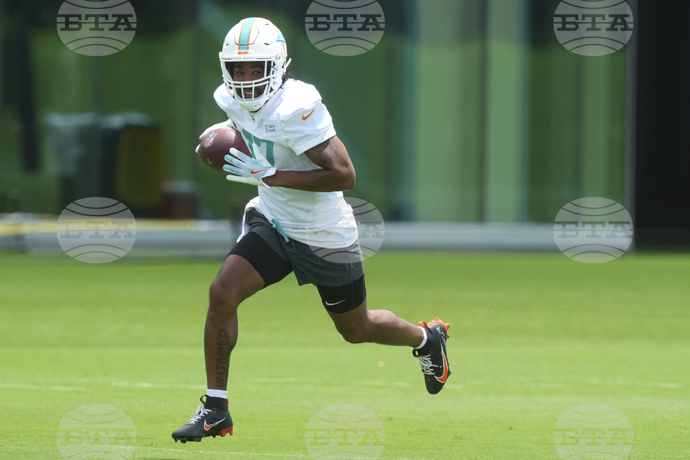 Dolphins Football