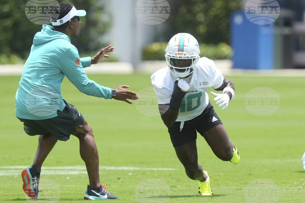 Dolphins Football