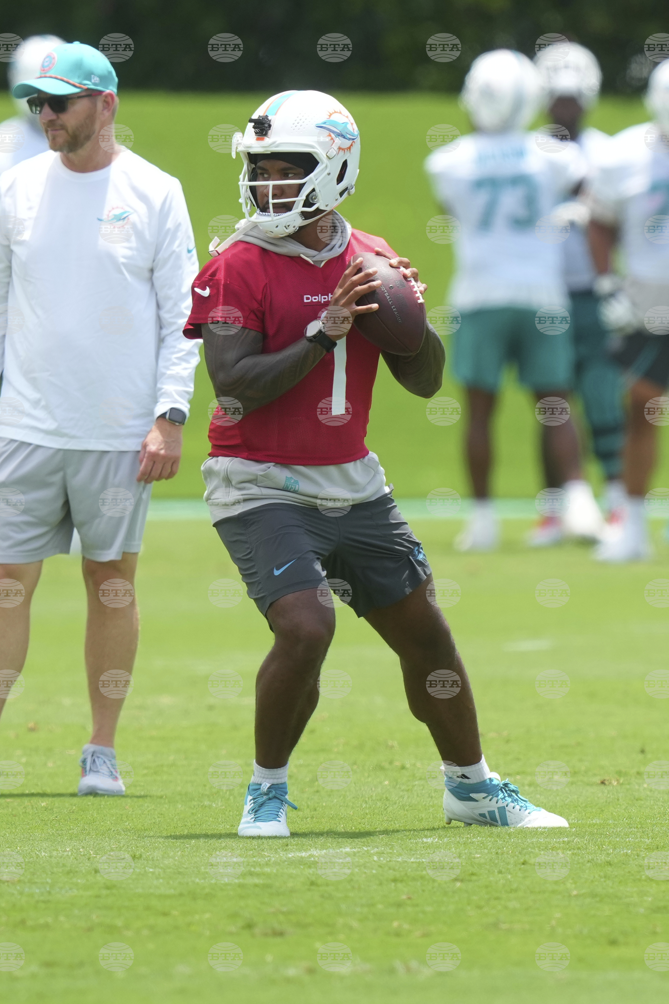 Dolphins Football