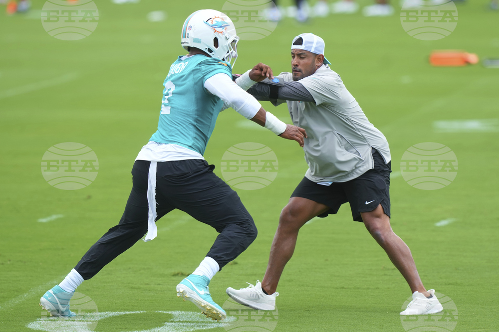 Dolphins Football