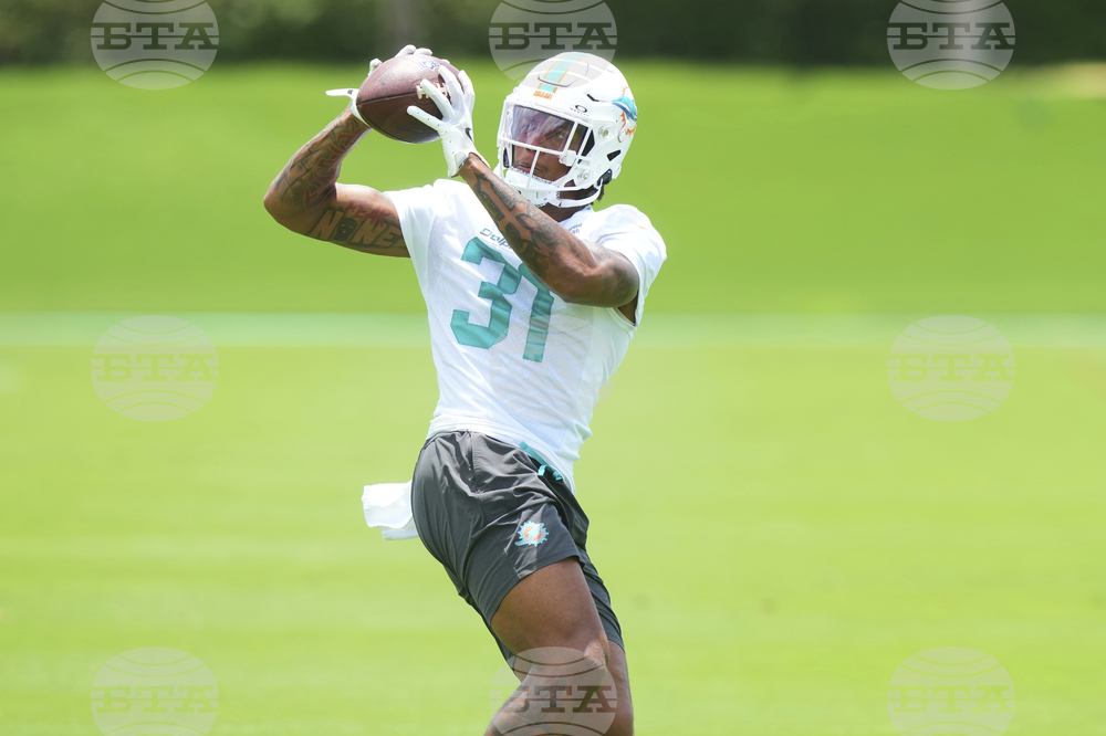 Dolphins Football