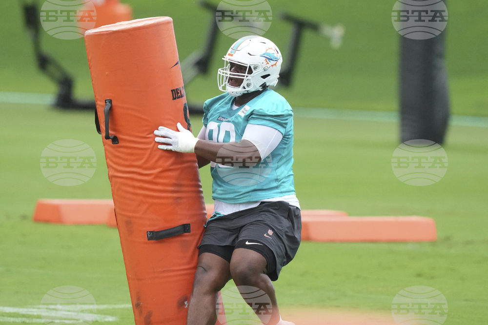 Dolphins Football