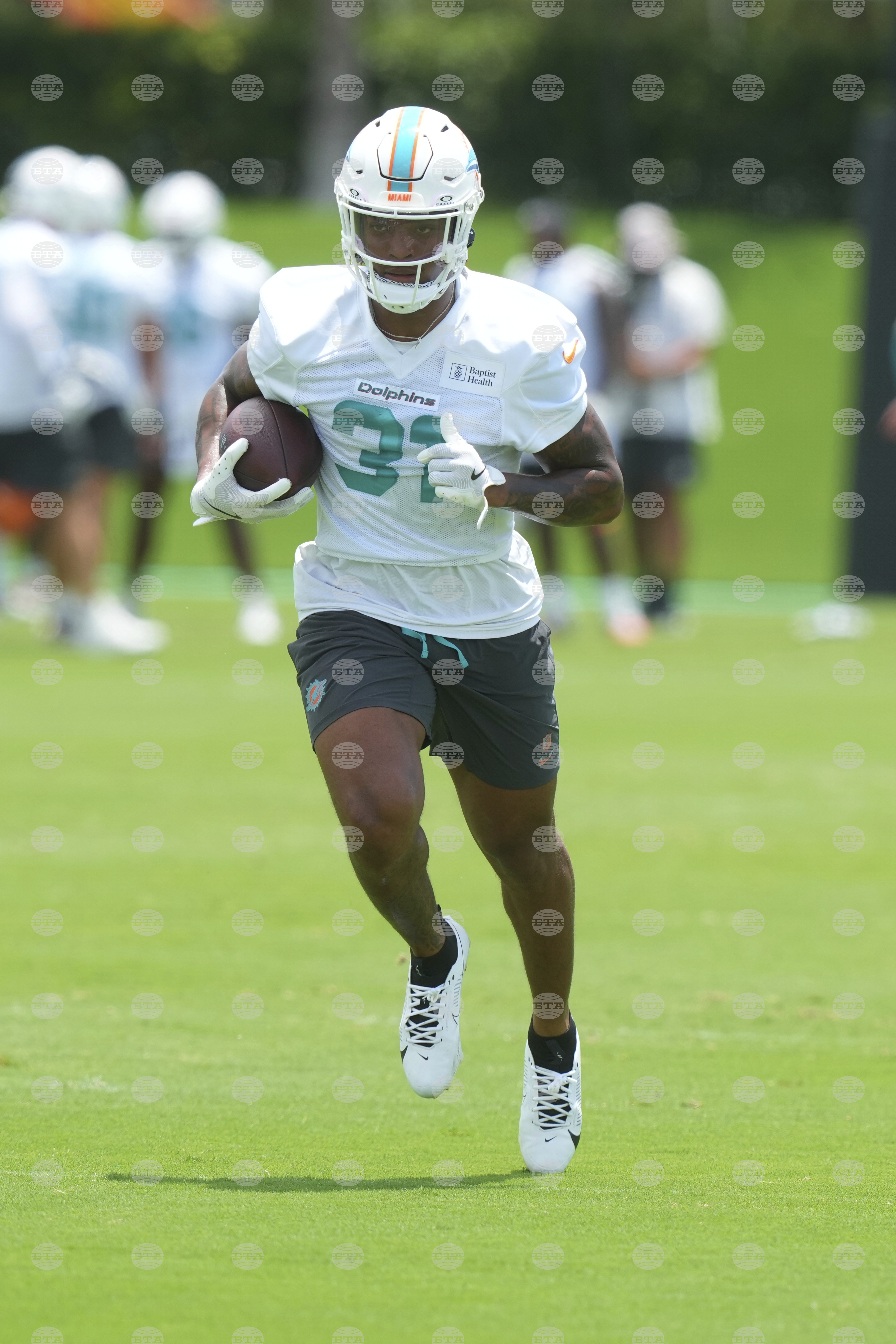 Dolphins Football